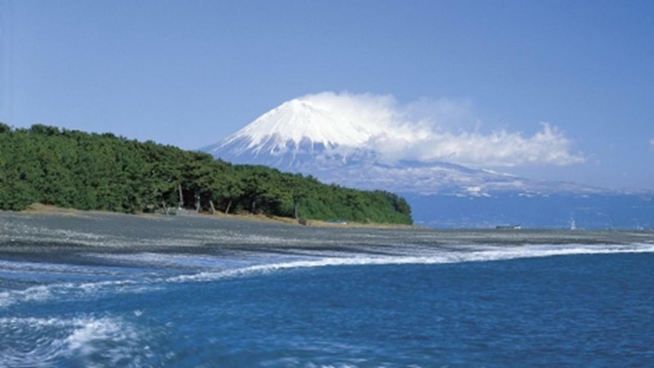 Shizuoka Town Hotel Екстер'єр фото